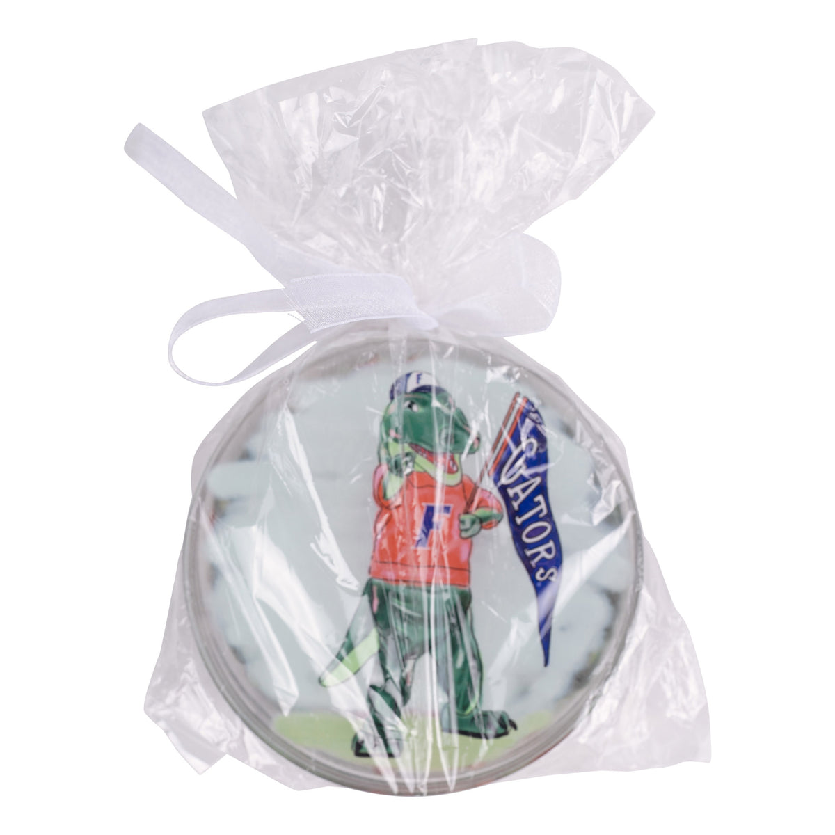 Florida  Coaster Set/4