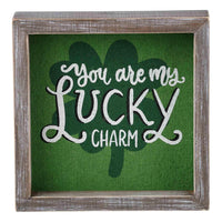 You Are My Lucky Charm Framed Board - GLORY HAUS