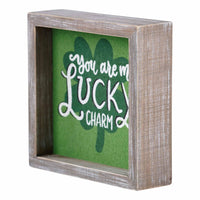 You Are My Lucky Charm Framed Board - GLORY HAUS