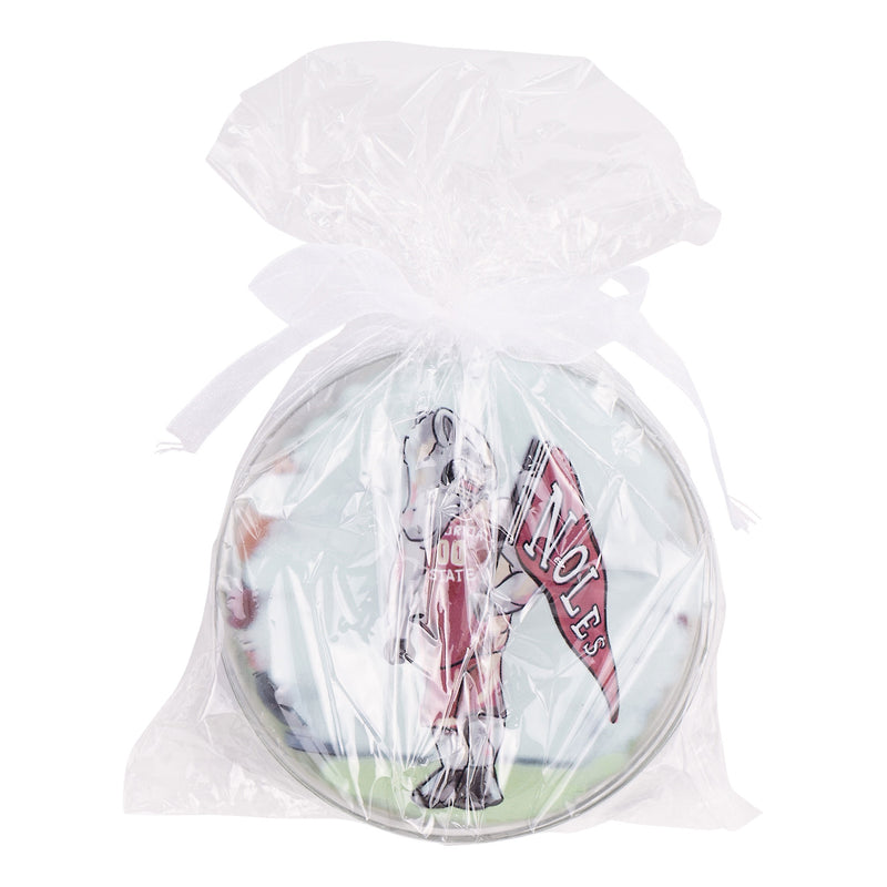 Florida State  Ornament Set/4