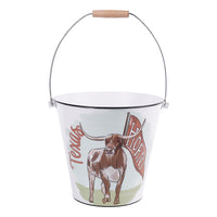 Texas Mascot Drink Bucket