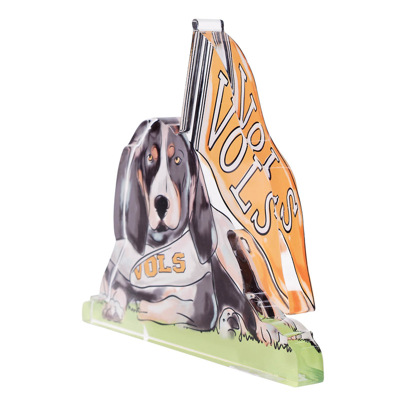 Tennessee Smokey Acrylic Stand
