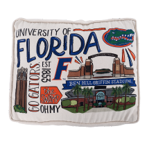 Florida Icon Pillow