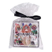 State of Tennessee Icon Acrylic Coaster Set/4
