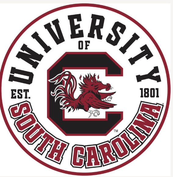 South Carolina Retro Placemat Set/4