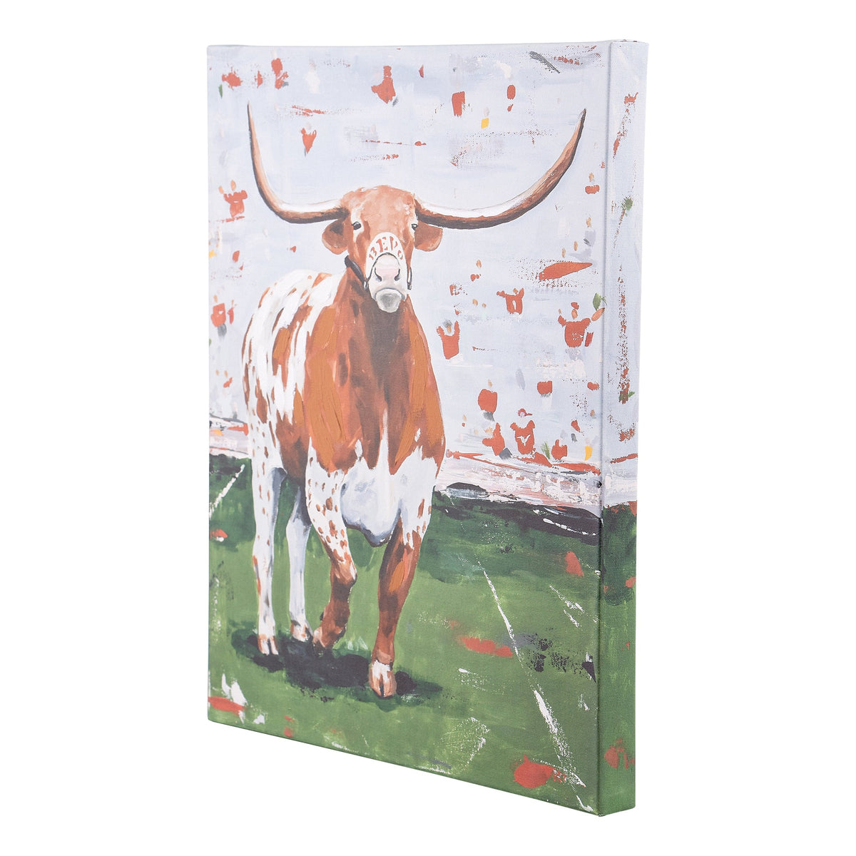 Texas Bevo Canvas