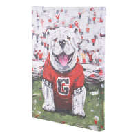 UGA Dawg Canvas