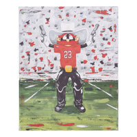 Texas Tech Raider Red Canvas